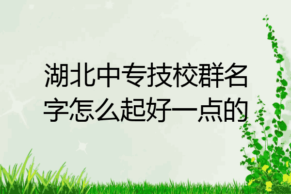 湖北中专技校群名字怎么起好一点的