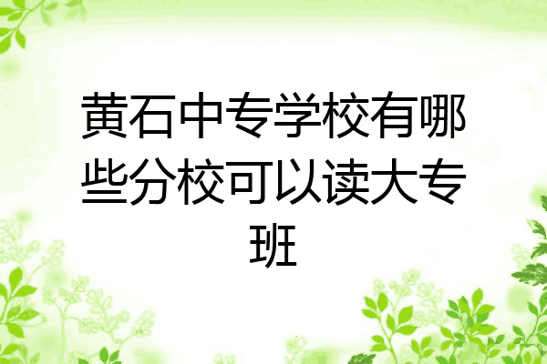 黄石中专学校有哪些分校可以读大专班