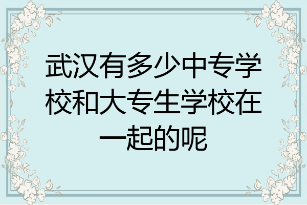 武汉有多少中专学校和大专生学校在一起的呢