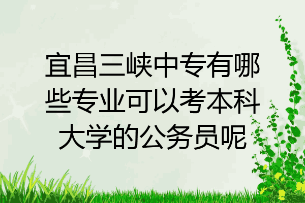 宜昌三峡中专有哪些专业可以考本科大学的公务员呢
