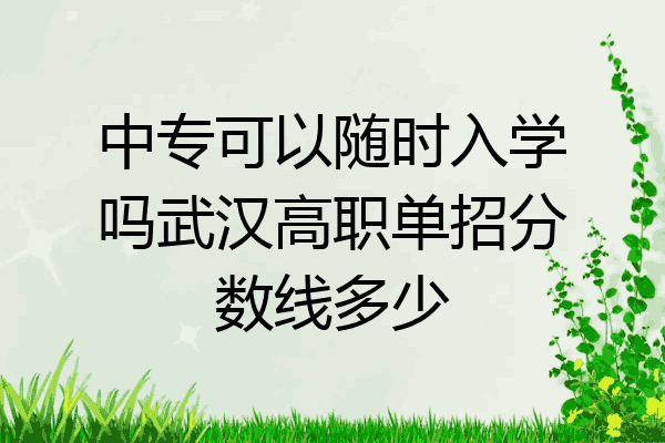 中专可以随时入学吗武汉高职单招分数线多少