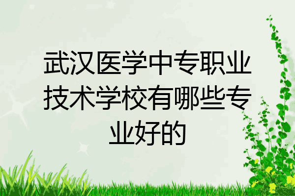 武汉医学中专职业技术学校有哪些专业好的