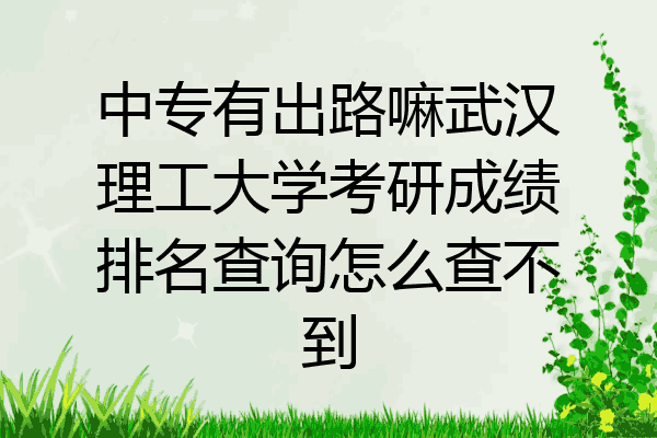 中专有出路嘛武汉理工大学考研成绩排名查询怎么查不到