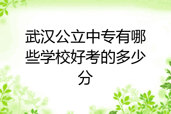 武汉公立中专有哪些学校好考的多少分
