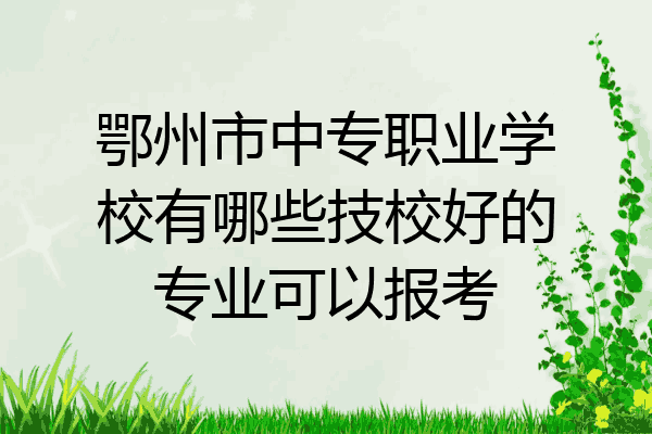 鄂州市中专职业学校有哪些技校好的专业可以报考