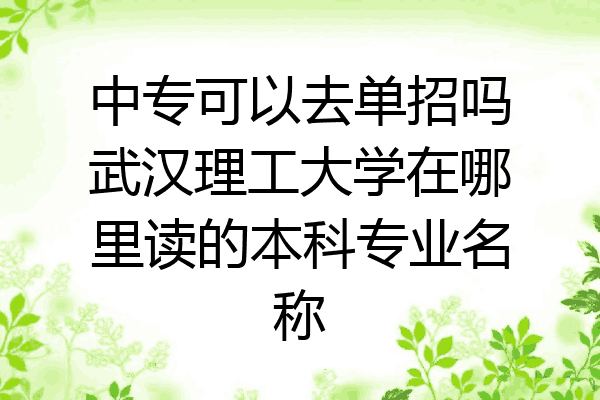 中专可以去单招吗武汉理工大学在哪里读的本科专业名称
