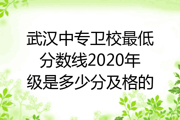 武汉中专卫校最低分数线2020年级是多少分及格的