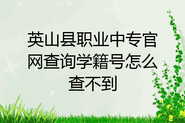 英山县职业中专官网查询学籍号怎么查不到