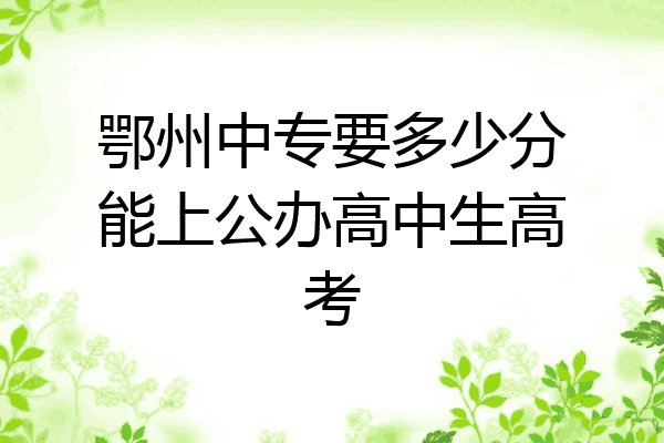 鄂州中专要多少分能上公办高中生高考