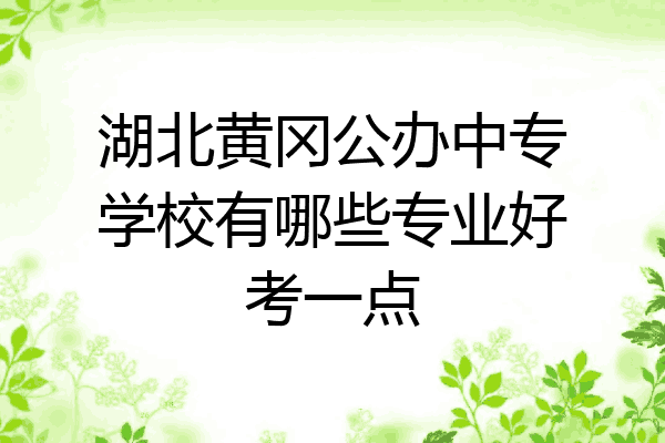 湖北黄冈公办中专学校有哪些专业好考一点