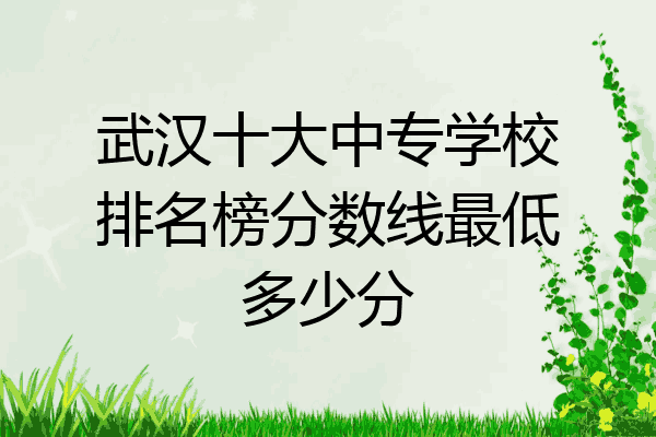 武汉十大中专学校排名榜分数线最低多少分