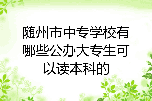 随州市中专学校有哪些公办大专生可以读本科的