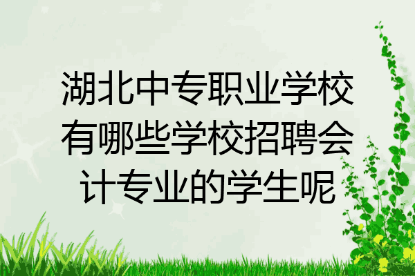 湖北中专职业学校有哪些学校招聘会计专业的学生呢