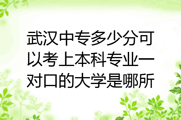 武汉中专多少分可以考上本科专业一对口的大学是哪所