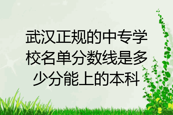 武汉正规的中专学校名单分数线是多少分能上的本科