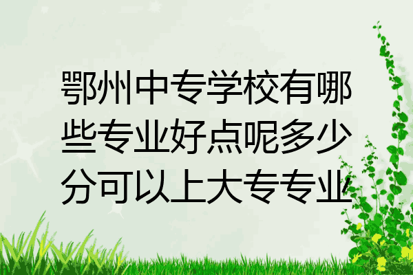 鄂州中专学校有哪些专业好点呢多少分可以上大专专业