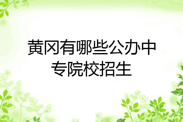 黄冈有哪些公办中专院校招生