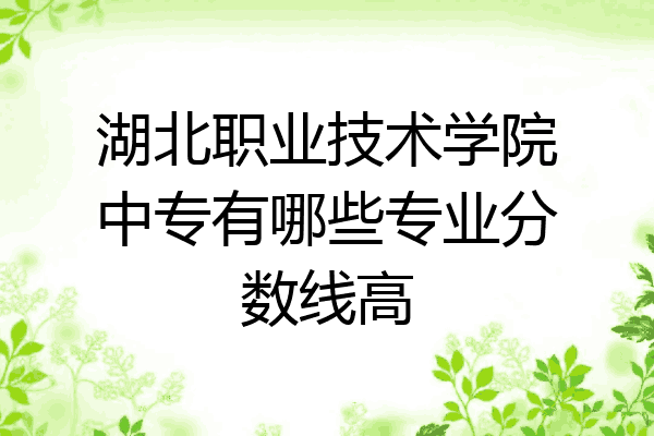 湖北职业技术学院中专有哪些专业分数线高