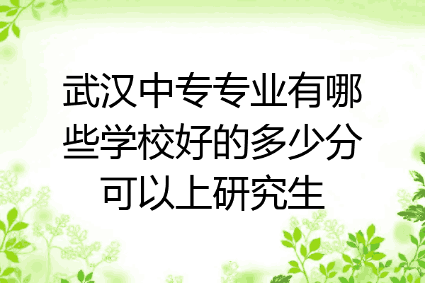 武汉中专专业有哪些学校好的多少分可以上研究生
