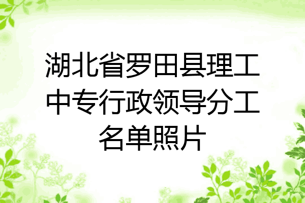 湖北省罗田县理工中专行政领导分工名单照片