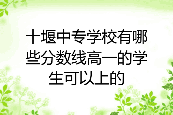 十堰中专学校有哪些分数线高一的学生可以上的