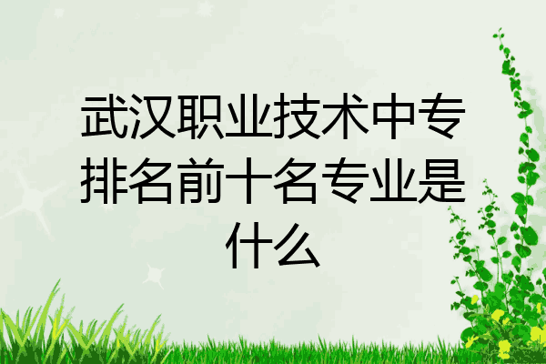 武汉职业技术中专排名前十名专业是什么