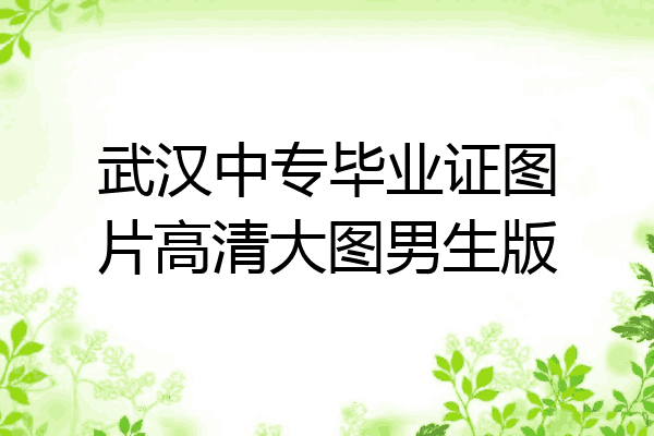 武汉中专毕业证图片高清大图男生版