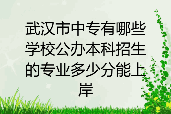 武汉市中专有哪些学校公办本科招生的专业多少分能上岸