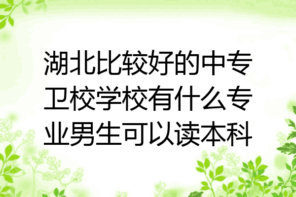 湖北比较好的中专卫校学校有什么专业男生可以读本科