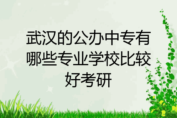 武汉的公办中专有哪些专业学校比较好考研