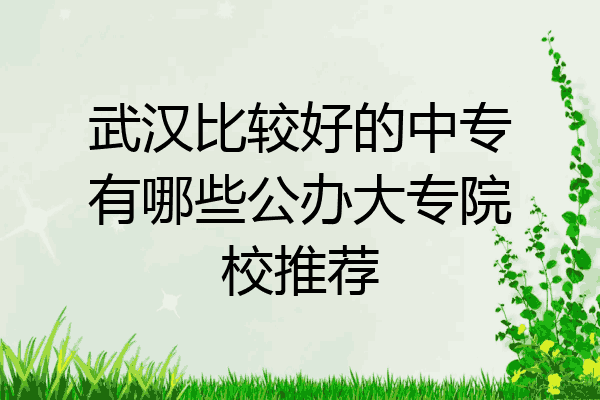 武汉比较好的中专有哪些公办大专院校推荐