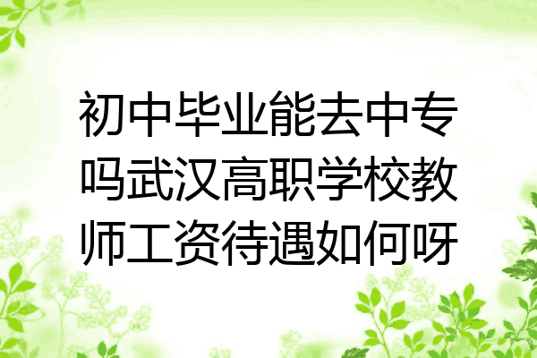初中毕业能去中专吗武汉高职学校教师工资待遇如何呀
