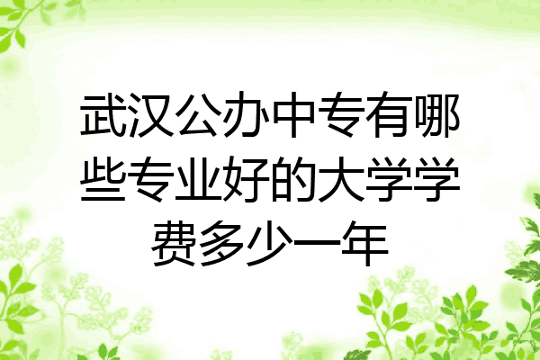 武汉公办中专有哪些专业好的大学学费多少一年