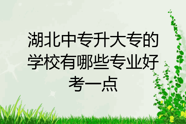 湖北中专升大专的学校有哪些专业好考一点