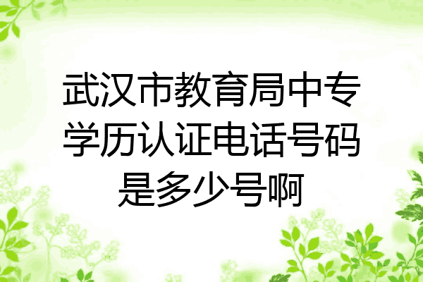 武汉市教育局中专学历认证电话号码是多少号啊
