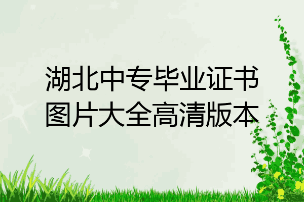 湖北中专毕业证书图片大全高清版本