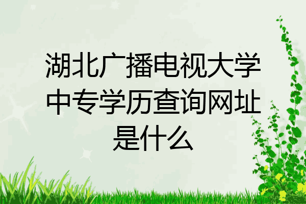 湖北广播电视大学中专学历查询网址是什么