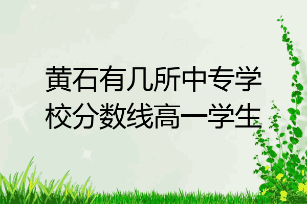 黄石有几所中专学校分数线高一学生