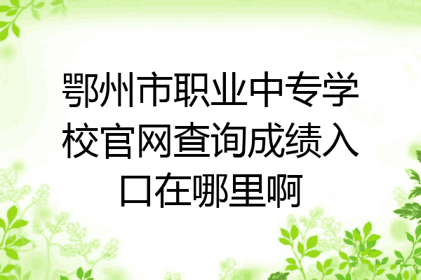 鄂州市职业中专学校官网查询成绩入口在哪里啊