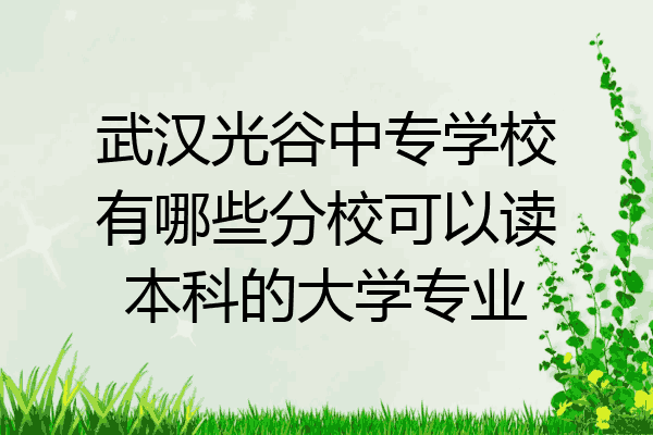 武汉光谷中专学校有哪些分校可以读本科的大学专业