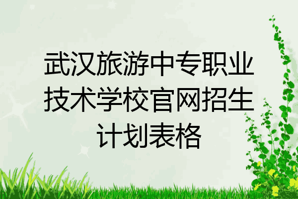 武汉旅游中专职业技术学校官网招生计划表格