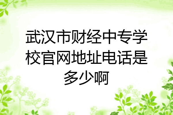 武汉市财经中专学校官网地址电话是多少啊