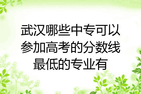 武汉哪些中专可以参加高考的分数线最低的专业有