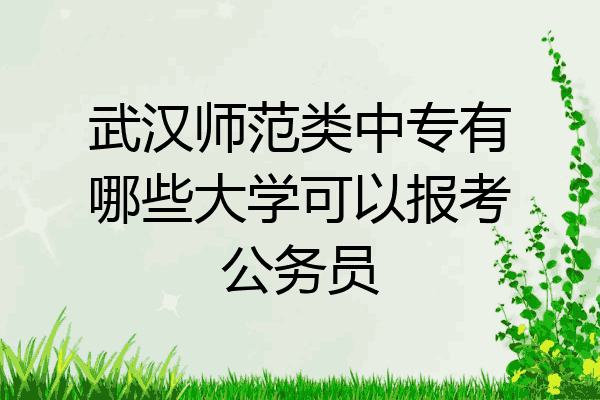 武汉师范类中专有哪些大学可以报考公务员