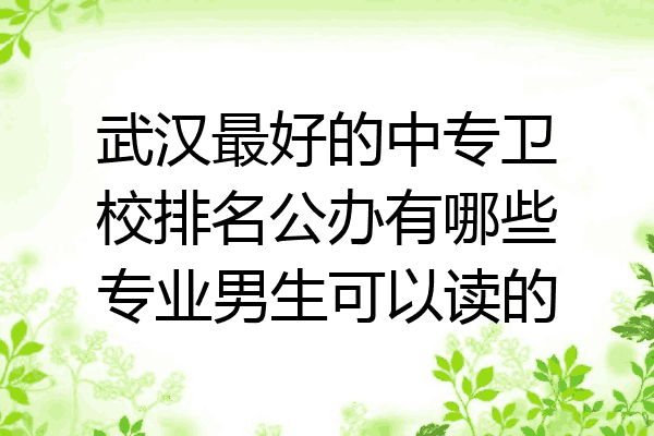 武汉最好的中专卫校排名公办有哪些专业男生可以读的