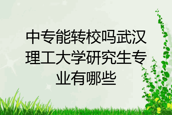 中专能转校吗武汉理工大学研究生专业有哪些