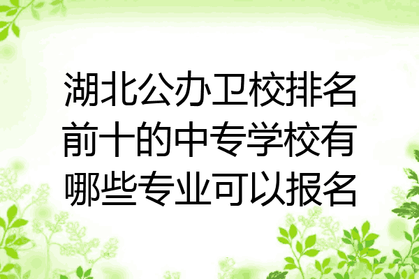 湖北公办卫校排名前十的中专学校有哪些专业可以报名
