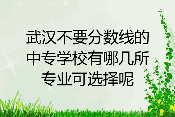 武汉不要分数线的中专学校有哪几所专业可选择呢