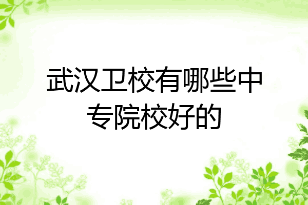 武汉卫校有哪些中专院校好的