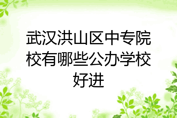 武汉洪山区中专院校有哪些公办学校好进